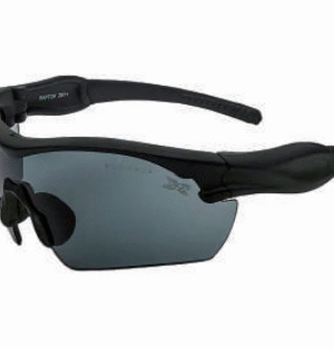 LENTE DE SEGURIDAD RAPTOR