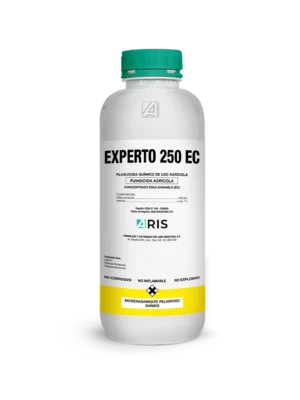 EXPERTO 250 EC