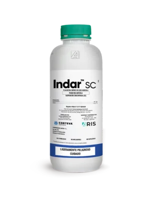INDAR SC