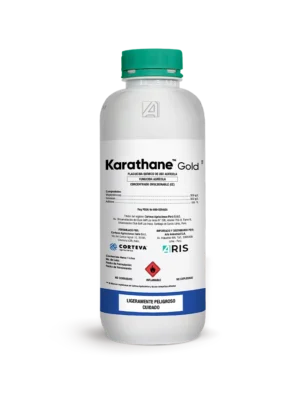 KARATHANE GOLD