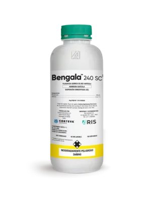 BENGALA 240 SC