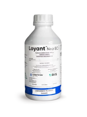 LOYANT NEO EC