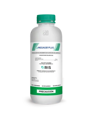 MEGAGIB PLUS